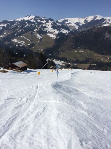 Zweisimmen, 14.3.2014
