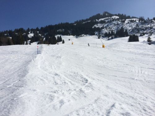 Zweisimmen, 14.3.2014
