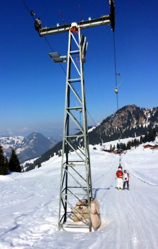 Zweisimmen, 14.3.2014

