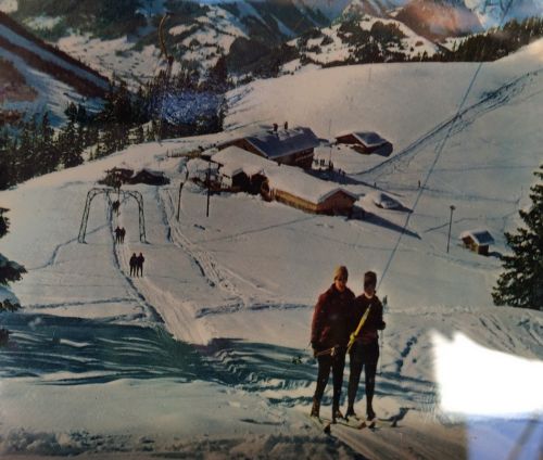 Zweisimmen, 14.3.2014
