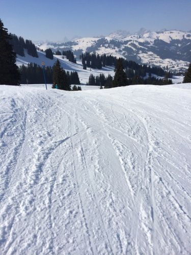 Zweisimmen, 14.3.2014
