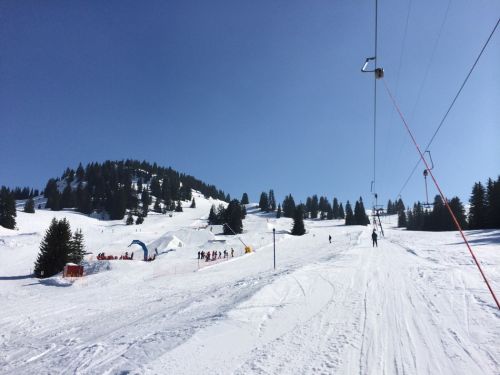 Zweisimmen, 14.3.2014
