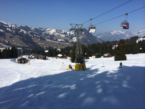 Zweisimmen, 14.3.2014
