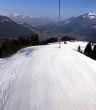 20140314-b-zweisimmen-0017.jpg