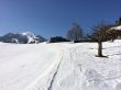 20140314-b-zweisimmen-0029.jpg