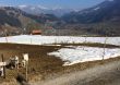 20140314-b-zweisimmen-0031.jpg