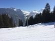 20140314-b-zweisimmen-0044.jpg