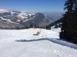20140314-b-zweisimmen-0081.jpg