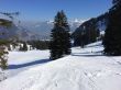 20140314-b-zweisimmen-0082.jpg