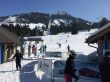 20140314-b-zweisimmen-0120.jpg