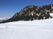 20140314-b-zweisimmen-0150.jpg