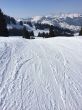 20140314-b-zweisimmen-0152.jpg