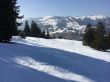 20140314-b-zweisimmen-0171.jpg