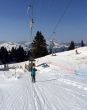 20140314-b-zweisimmen-0197.jpg