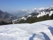20140314-b-zweisimmen-0201.jpg