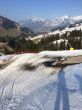 20140314-b-zweisimmen-0202.jpg