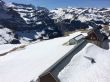 20140410-wengen-2090.jpg