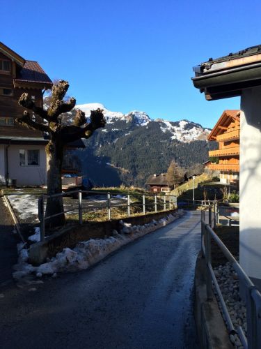 Wengen, 10. Januar 2015
