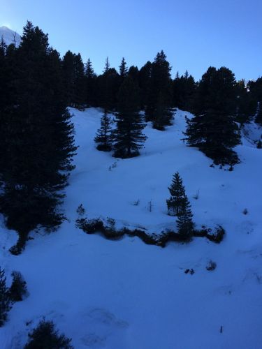 13. Januar 2015
