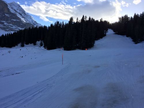 13. Januar 2015
