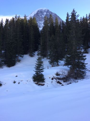 13. Januar 2015
