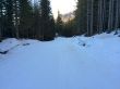 20150110-wengen-4578.jpg