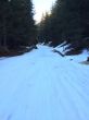 20150110-wengen-4581.jpg