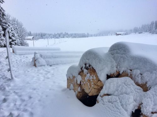 La Chaux d'Abel, 17. Januar 2015
