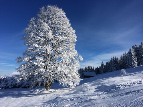 Les Breuleux, 18. Januar 2015
