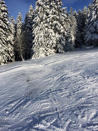 Les Breuleux, 18. Januar 2015

