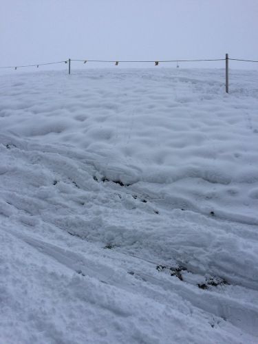 Chuderhüsi, 20. Januar 2015
