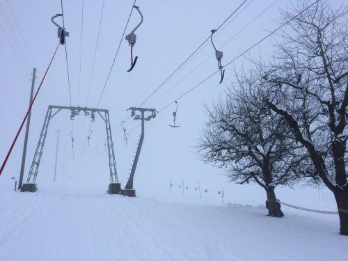 Linden, 20. Januar 2015
