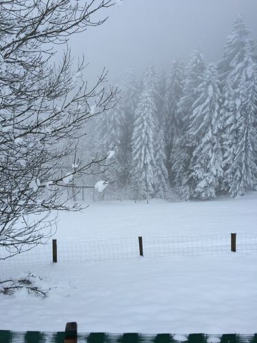 Linden, 20. Januar 2015
