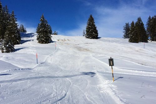 Gurnigel, 21. Januar 2015
