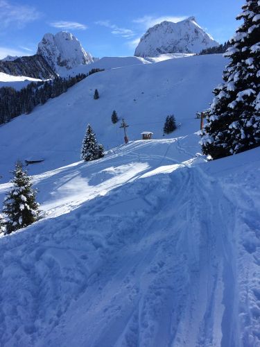 Gurnigel, 21. Januar 2015
