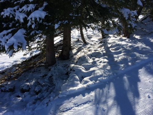 Gurnigel, 21. Januar 2015
