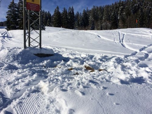 Gurnigel, 21. Januar 2015
