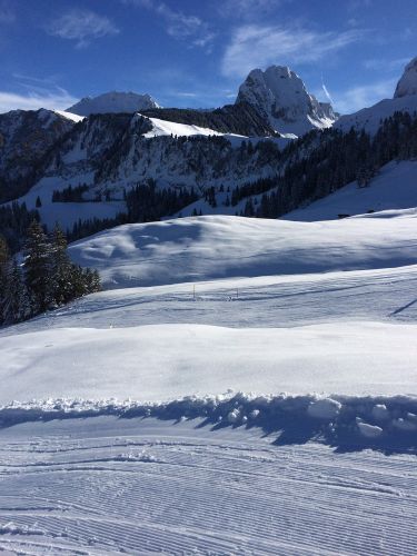 Gurnigel, 21. Januar 2015
