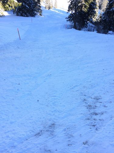 Gurnigel, 21. Januar 2015
