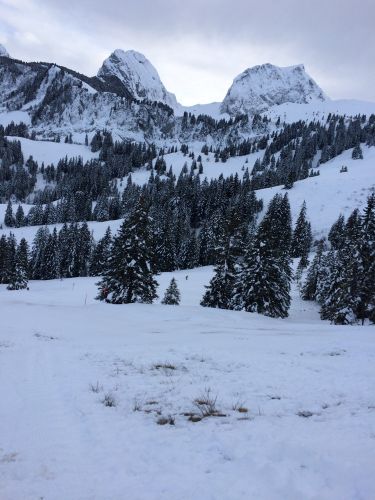 Gurnigel, 21. Januar 2015
