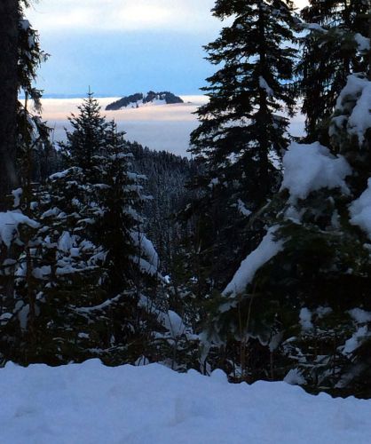 Gurnigel, 21. Januar 2015
