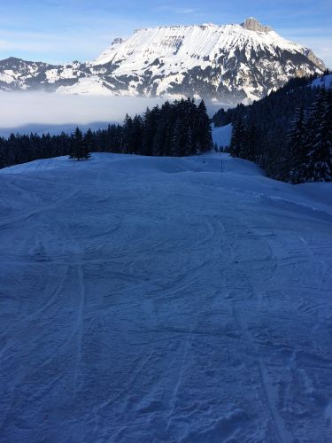 Bumbach, 22. Januar 2015
