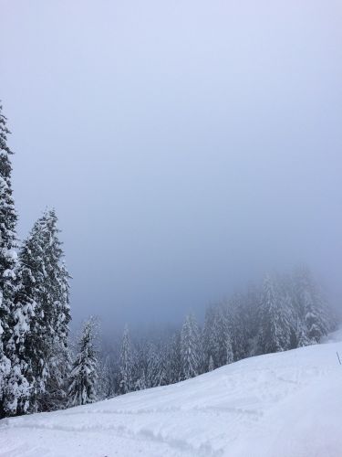 Bumbach, 22. Januar 2015
