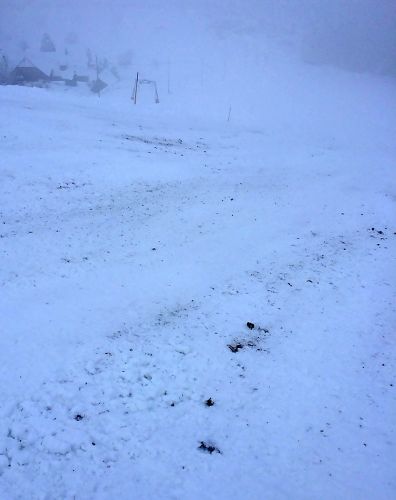 Bumbach, 22. Januar 2015
