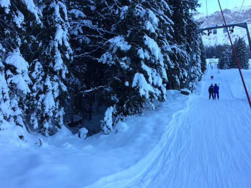 Bumbach, 22. Januar 2015
