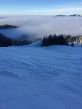 20150122-b-bumbach-5621.jpg