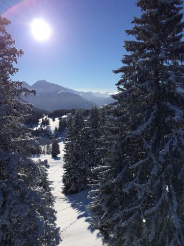 Lenzerheide, 26. Januar 2015
