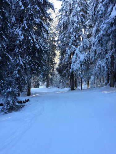 Lenzerheide, 26. Januar 2015
