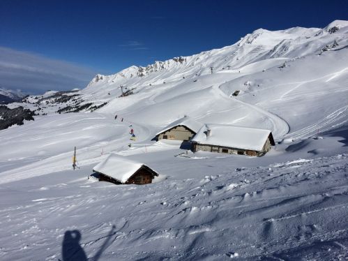 Lenzerheide, 26. Januar 2015
