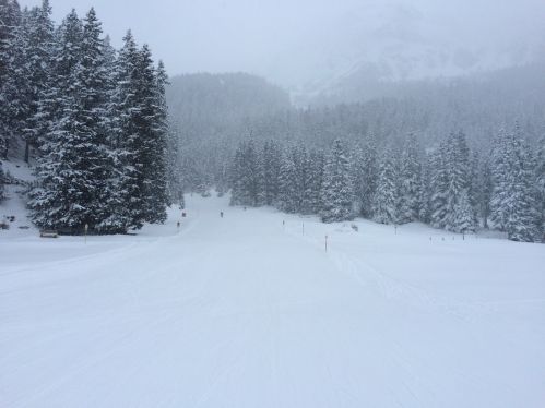 Lenzerheide, 26. Januar 2015
